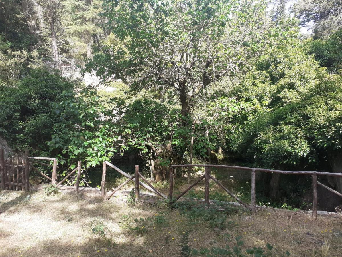 Guest House Piana Degli Albanesi Esterno foto